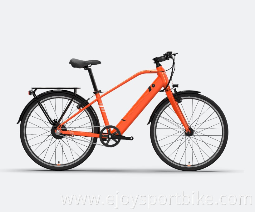 Electric City Bike LC01